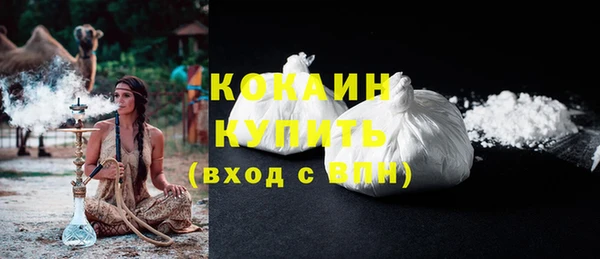 прущие грибы Касимов
