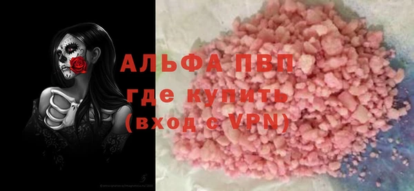 прущие грибы Касимов