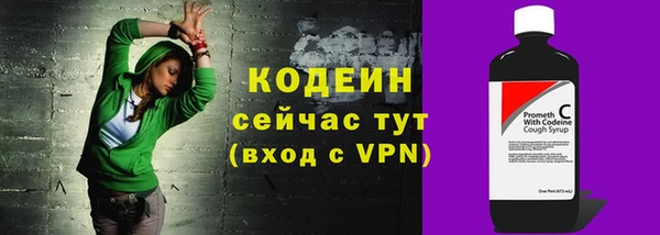 прущие грибы Касимов