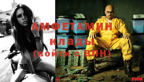 прущие грибы Касимов