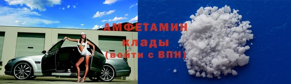 прущие грибы Касимов