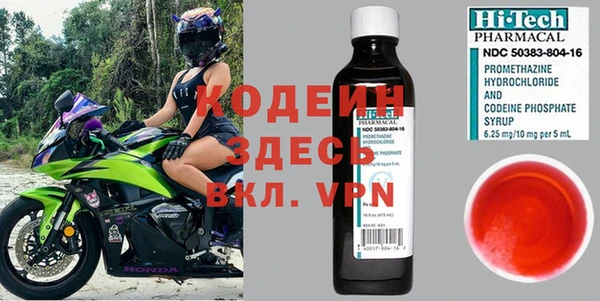 прущие грибы Касимов