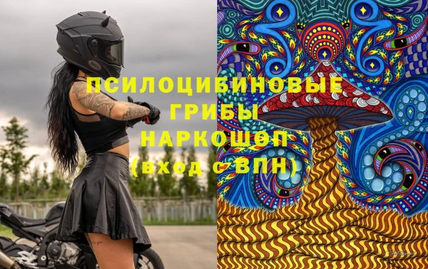 прущие грибы Касимов