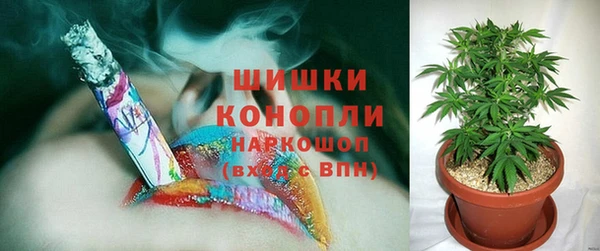 прущие грибы Касимов