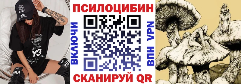 Купить где  Курган  Галлюциногенные грибы Cubensis 